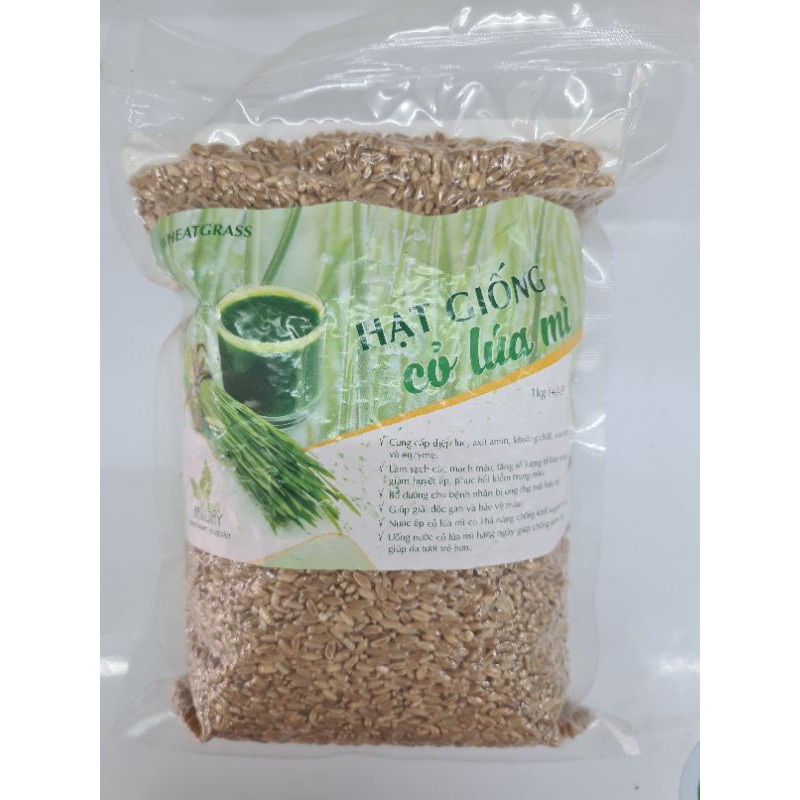 Hạt giống cỏ lúa mì Viethealthy 1 kg