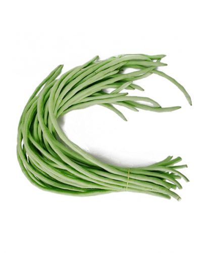 Hạt giống Đậu Đũa bụi ( mua 3 tặng 1)