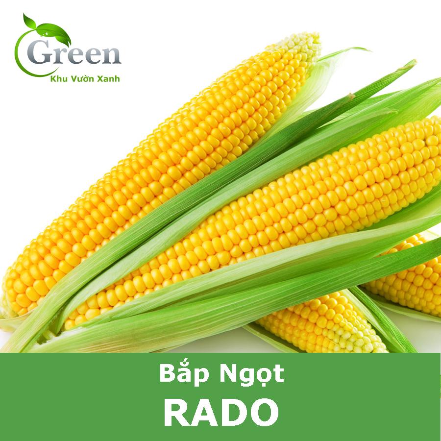 Hạt Giống Bắp Ngọt (Bắp Mỹ)