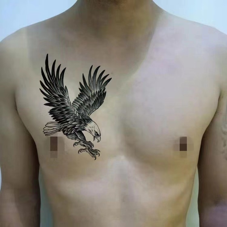 Hình xăm đại bàng 71 ảnh ý nghĩa của hình xăm hình xăm trên ngực và  vai trên lưng và trên cánh tay trên cổ và trên cẳng tay ví dụ về
