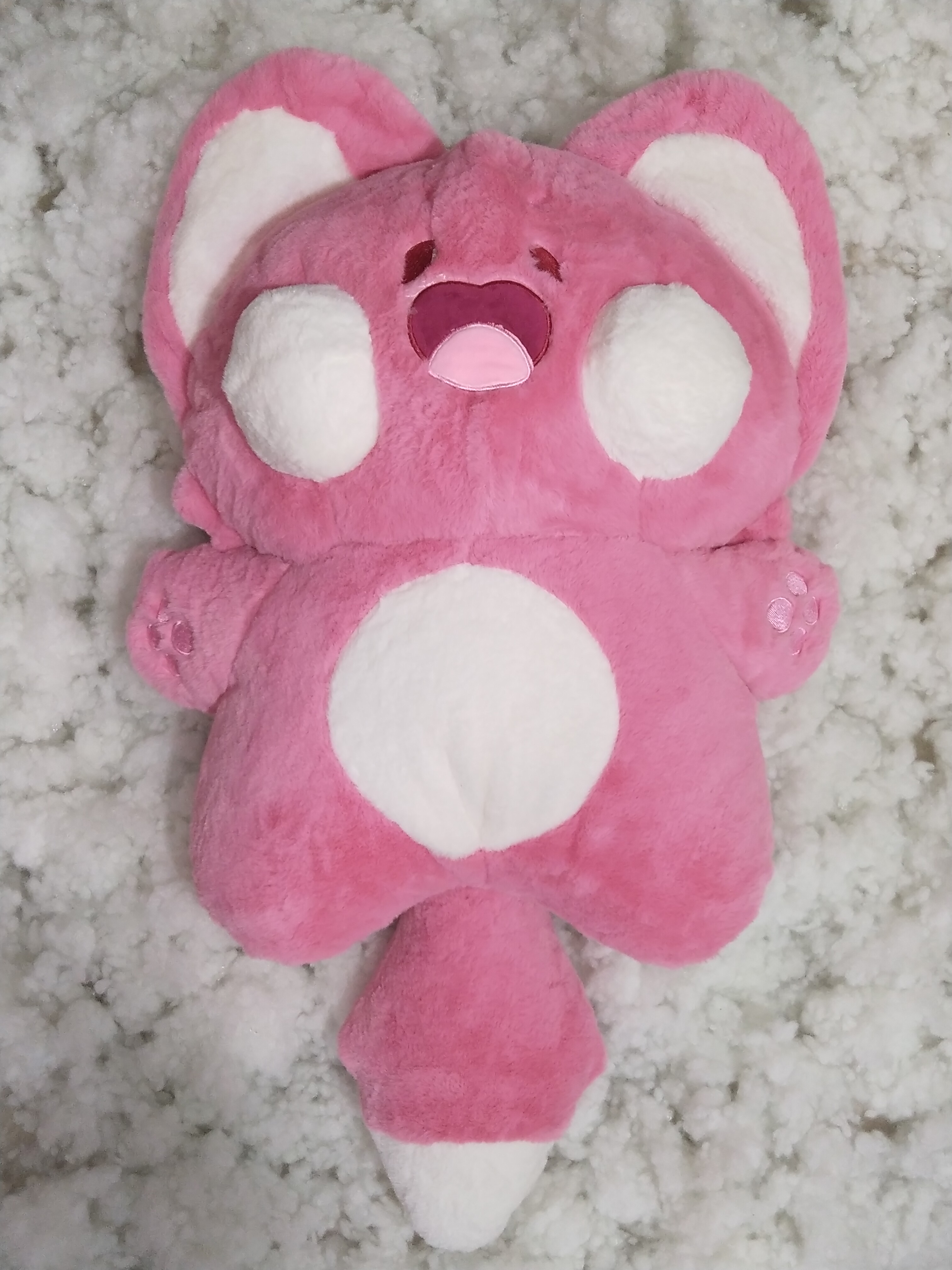 Mèo DuDu Mèo Doodle Siêu Dễ Thương