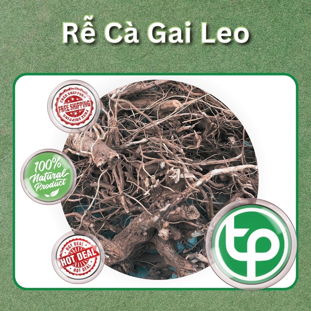 Rễ cà gai leo khô 1kg - Thảo Dược Tấn Phát