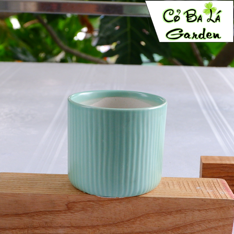 chậu sứ bát tràng hình trụ