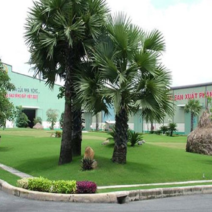 CÂY CỌ CẢNH SIÊU ĐẸP