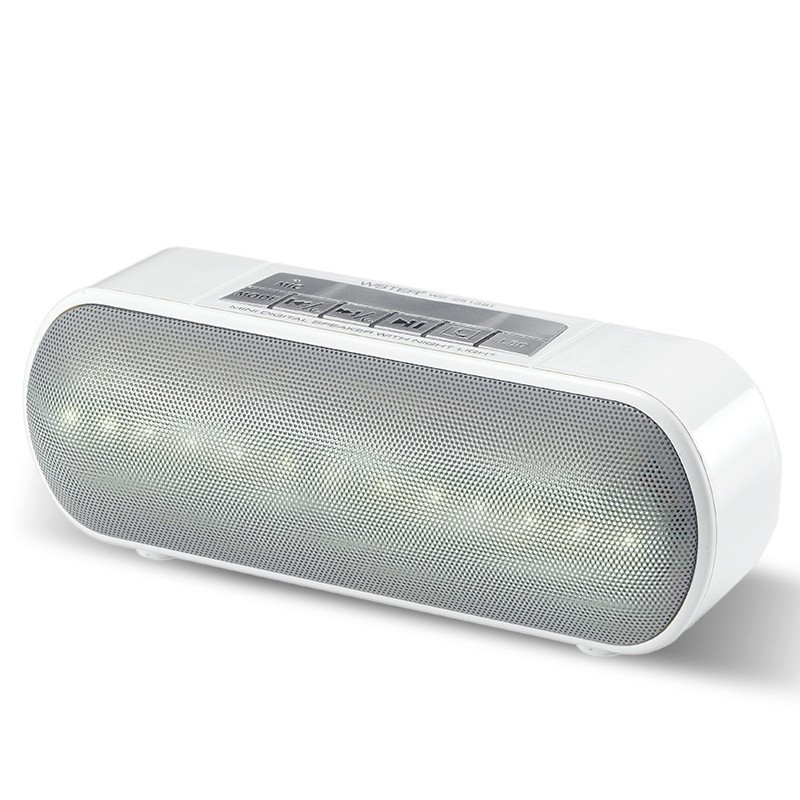 Loa Bluetooth WSTER WS 2513B siêu phẩm âm thanh cực đỉnh