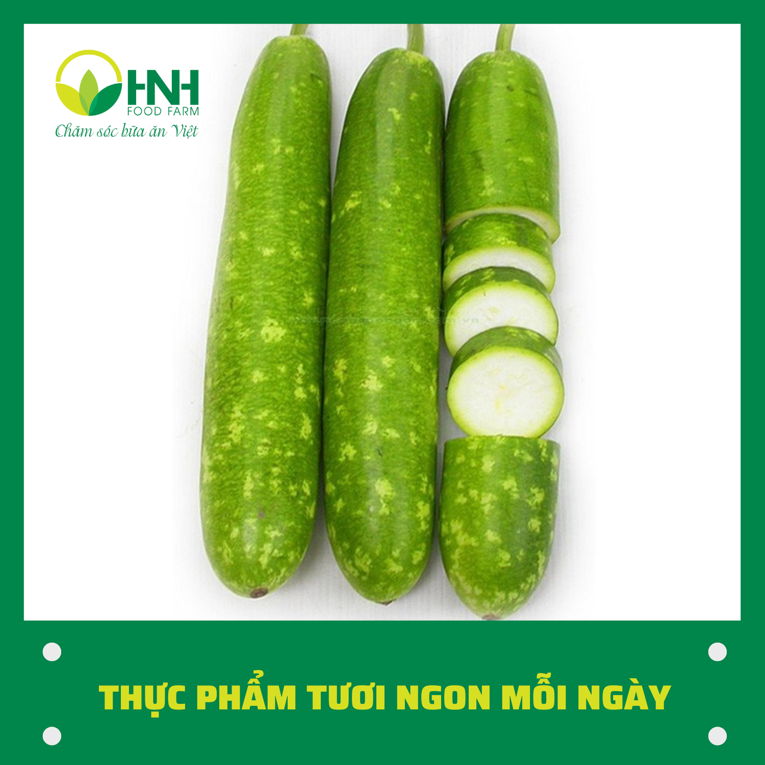 CHỈ GIAO HÀ NỘI Bầu quả sạch ngon trợ giá mùa dịch - HNH Food Farm
