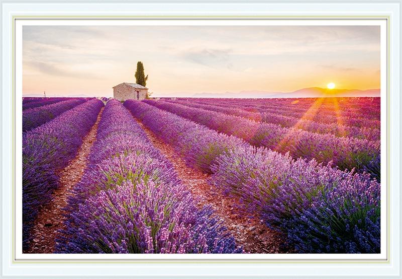Tranh đính đá cao cấp Venus Cánh đồng hoa oải hương -KT: 80x56Cm