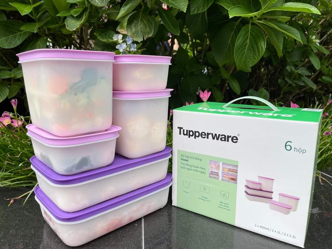 Bộ hộp trữ đông Violet (6 hộp) - Tupperware