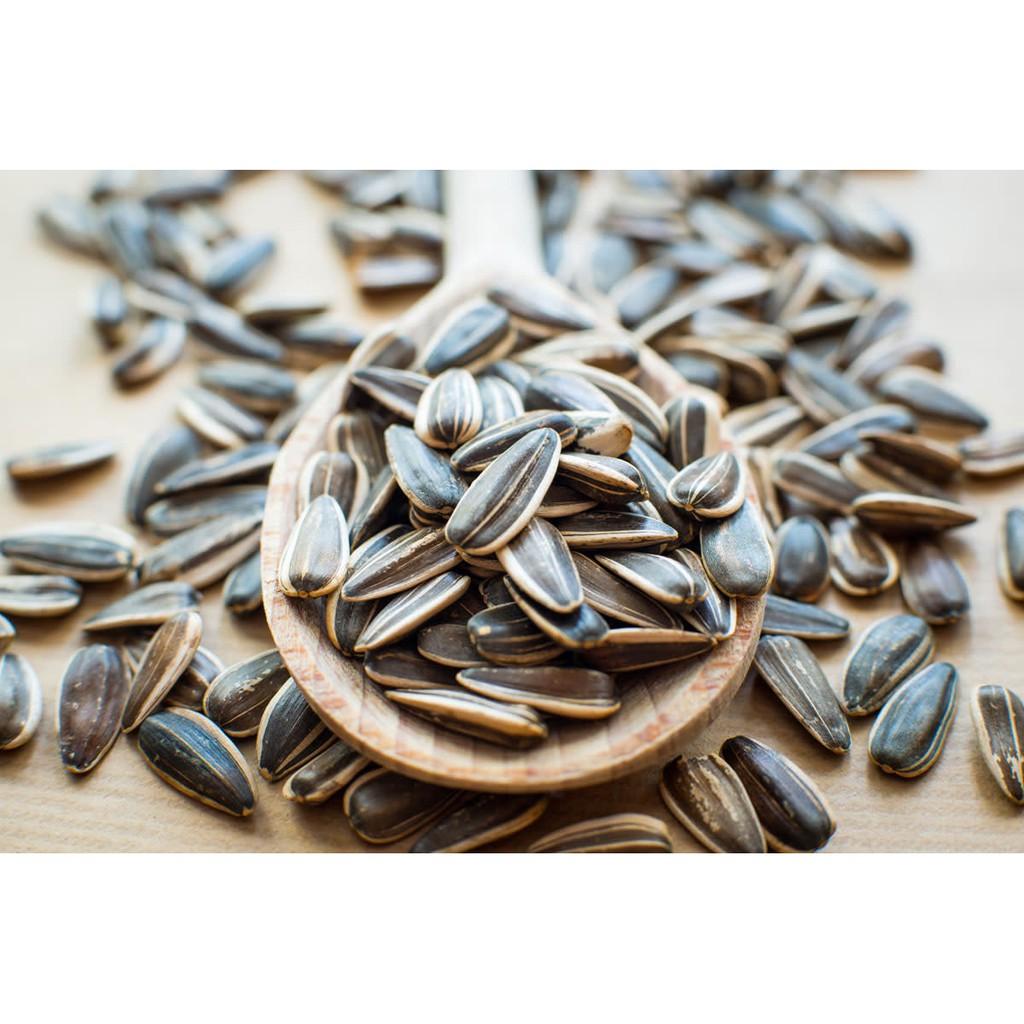 [HCM]Hạt Hướng Dương Nga Martina 100g
