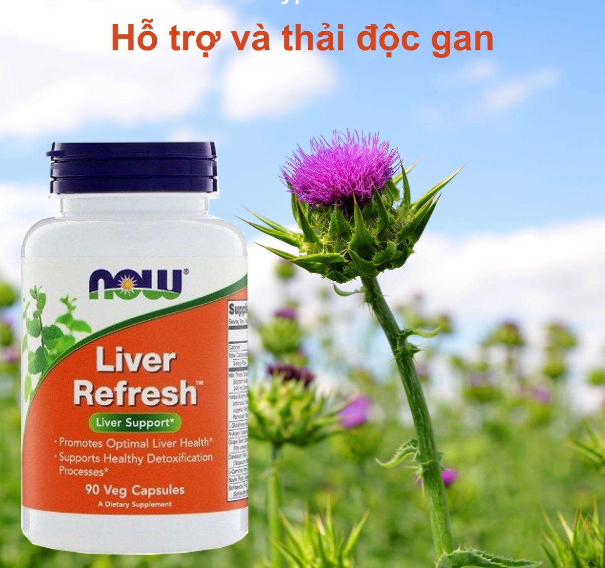 Hỗ trợ gan Now Liver Refresh 90viên 180viên