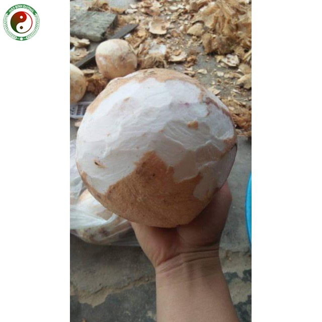 Dầu Dừa Nguyên Chất Ép Lạnh Organic Dưỡng Da