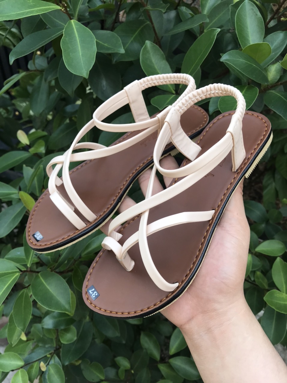 Giày sandal quai mảnh mẫu mới Z5