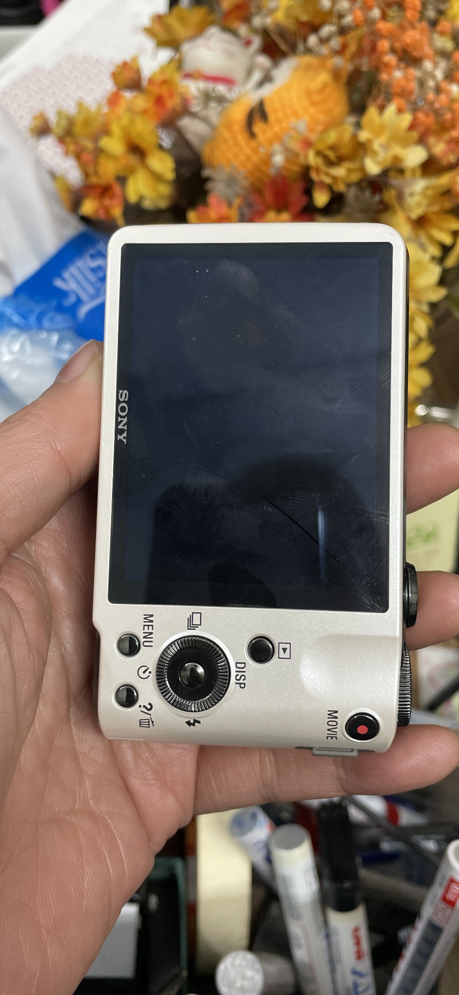 Máy ảnh Sony DSC HX7V có tiếng Việt