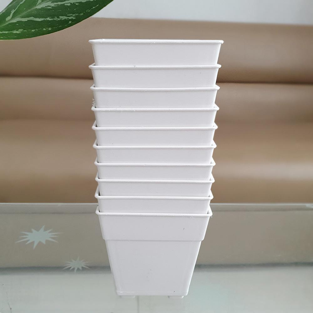 [HCM]Combo 10 chậu vuông trồng hoa nhỏ trắng 12x12cm
