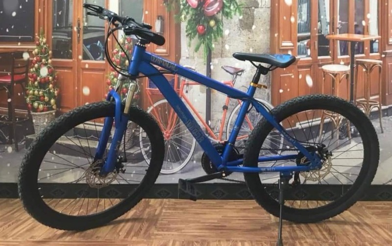 Mua XE ĐẠP THỂ THAO - BÁN GIÁ TẬN GÔC NHÀ MÁY - xe đạp người lớn - PHOENIX ECHO6.0 - xe đạp địa hình mẫu mới bánh bự vành 26 in cho người 1m5 trở lên - xe đạp nam