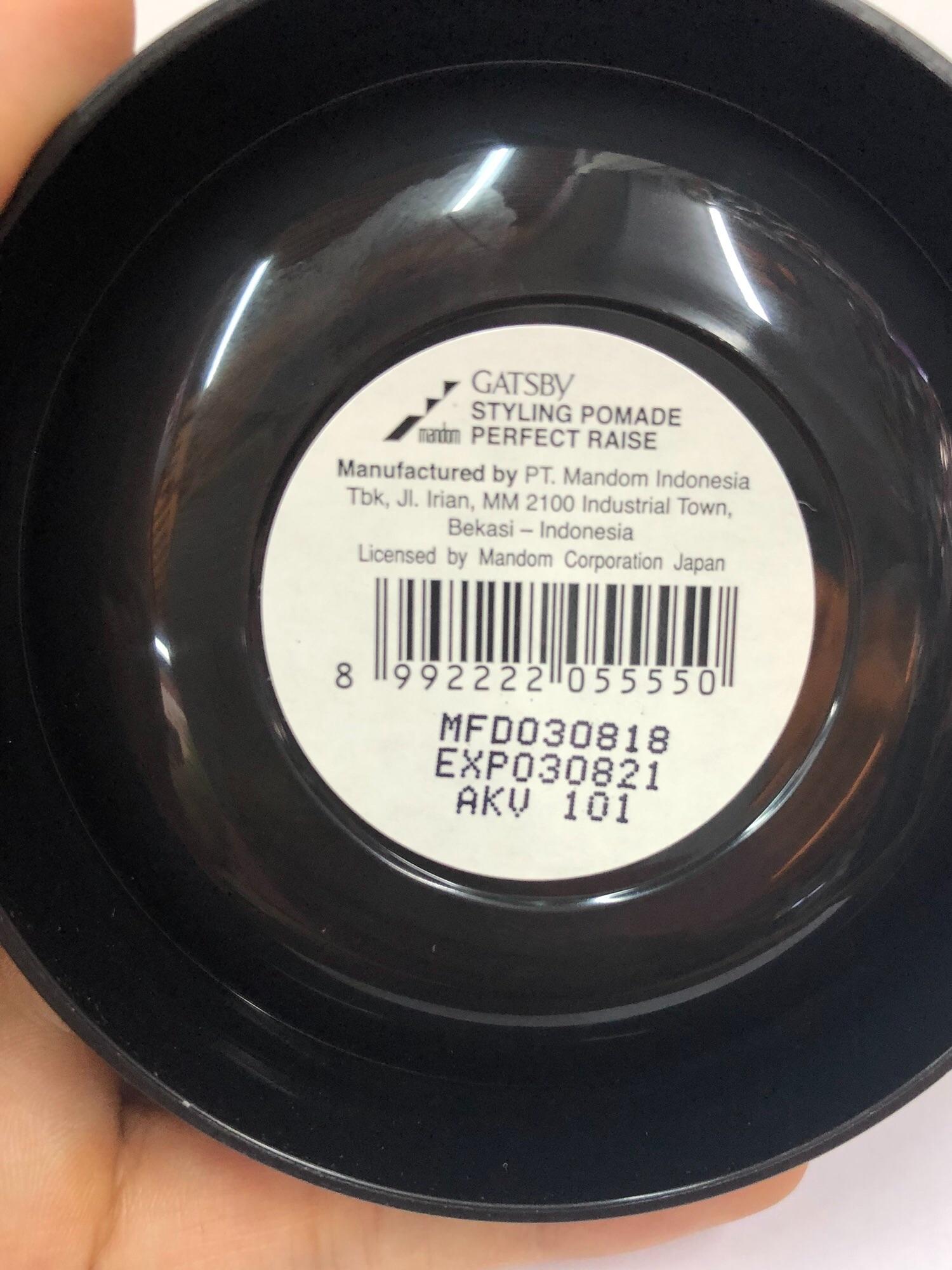 Wax Vuốt Tóc Gatsby Pomade Perfect Raise (75g)