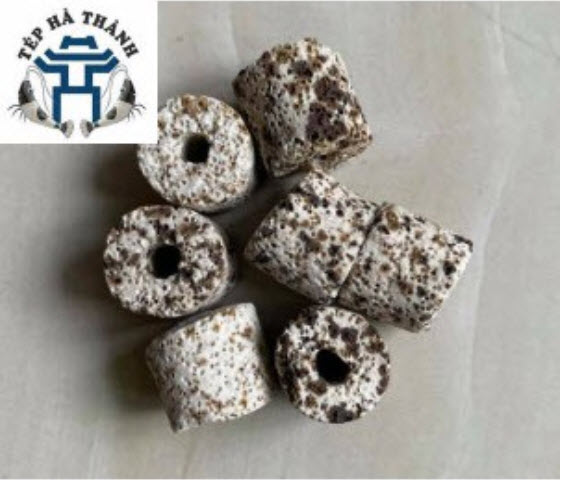 [Hoàn Tiền 10%] Vật Liệu Lọc Sứ Trụ Muối Tiêu