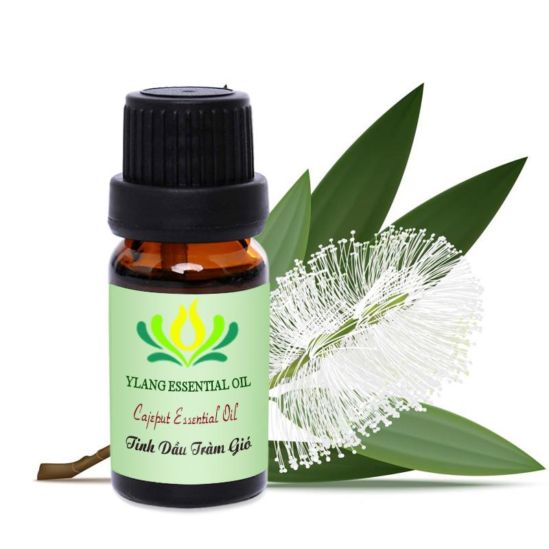 Tinh dầu Tràm Gió (Cajeput) - 100ml