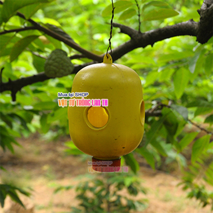 Dụng cụ bẫy ruồi vàng hại trái – D86