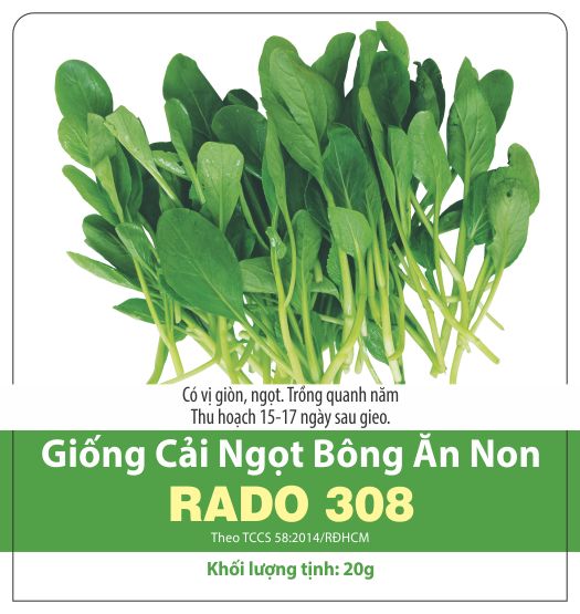 Hạt giống cải ngọt bông ăn non