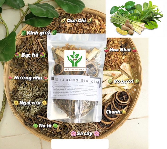 LÁ XÔNG TẮM