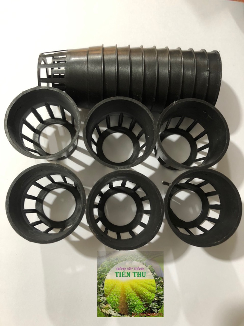 COMBO-10 CHẬU NHỰA ĐEN TRỒNG LAN PHI 12