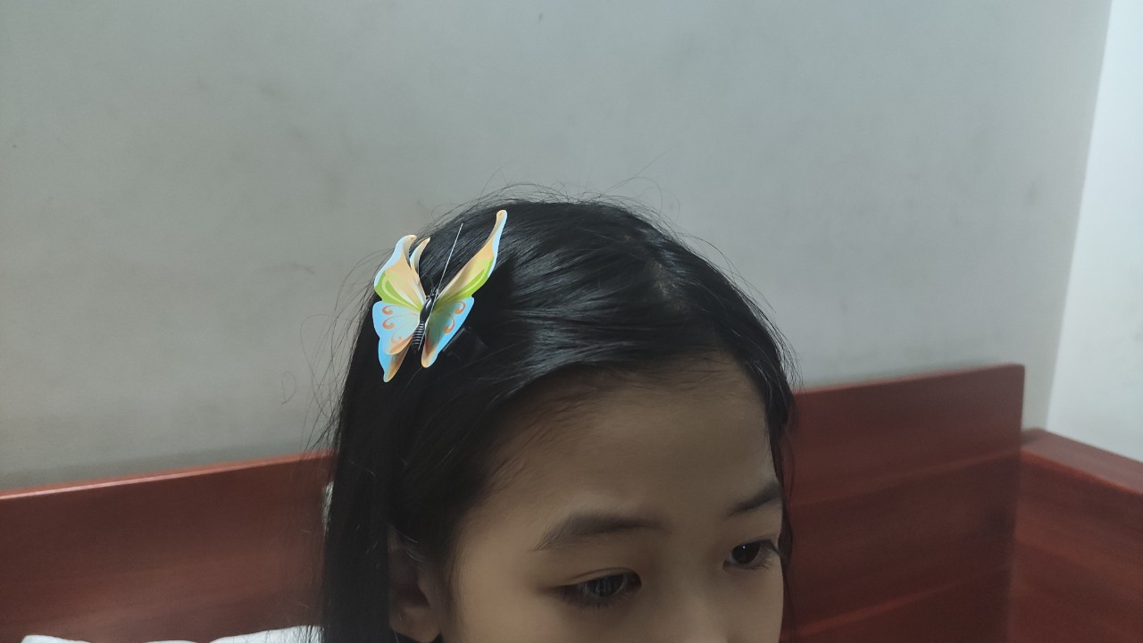 Kẹp handmade bướm nổi 2 lớp 3D