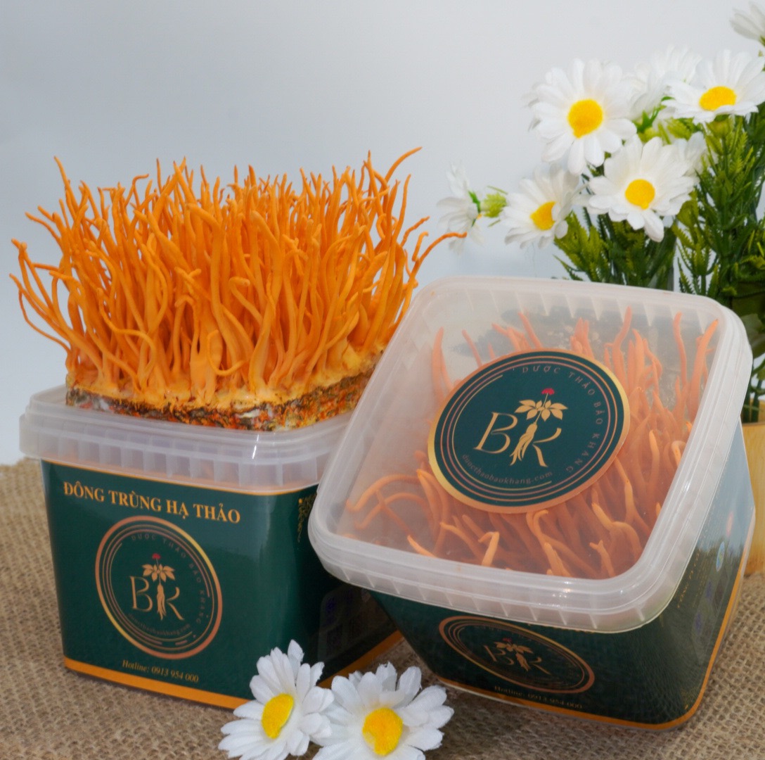 Nấm Tươi Đông Trùng Hạ Thảo