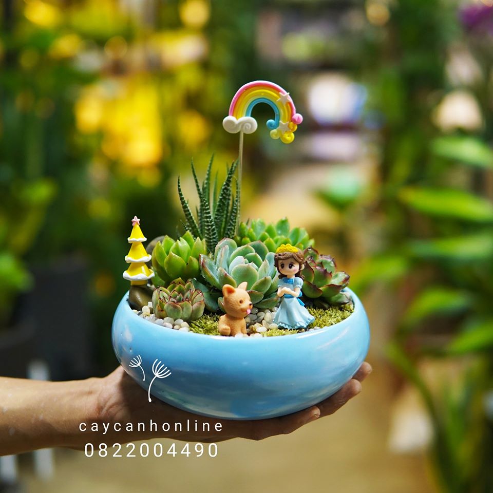 Bộ 2 chậu ang lượn trồng cây cảnh tiểu cảnh để bàn