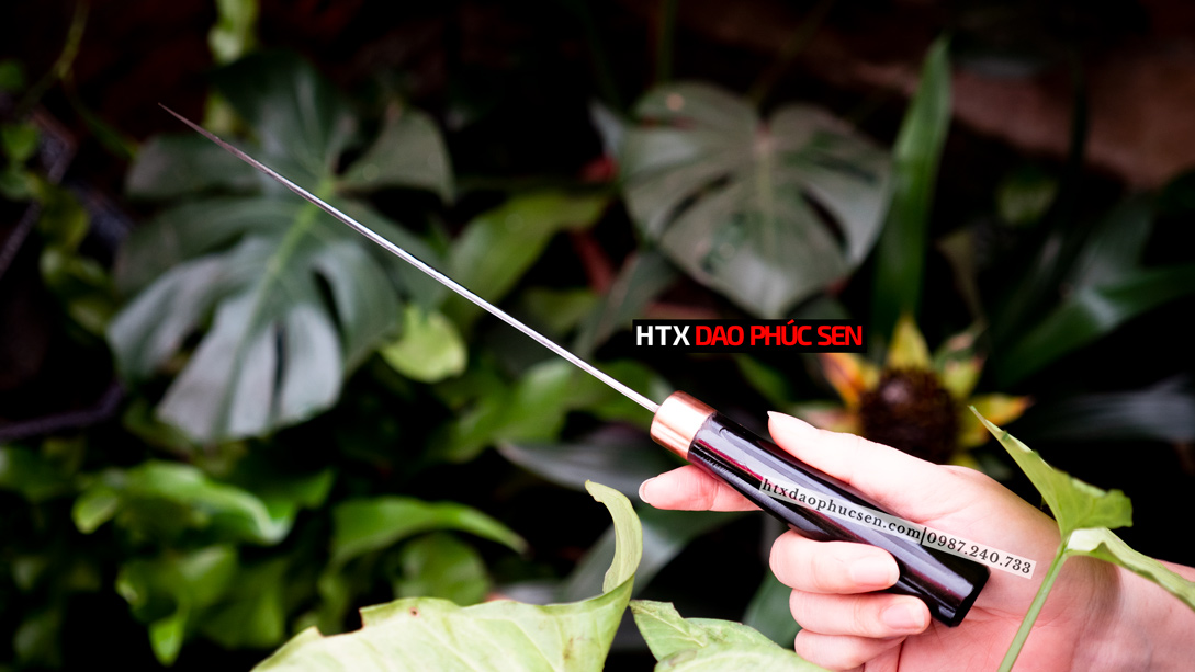 Dao phile chống dính nhíp xe - N14TMDD