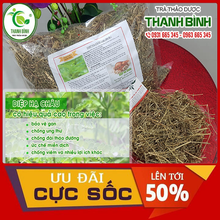 Diệp hạ châu khô 500g loại đặc biệt hàng chất lượng - đông y thanh bình