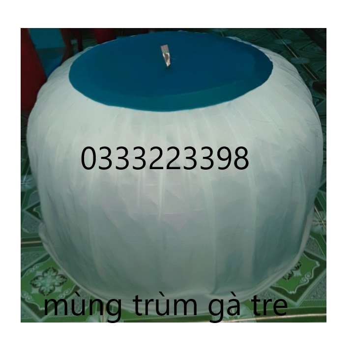 Mùng trùm bội gà tre 10 Cái (bội nhỏ 90cm).