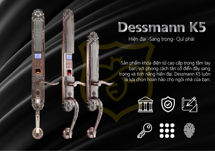 [HCM]KHÓA CỬA VÂN TAY CỔ ĐIỂN DESSMANN K5