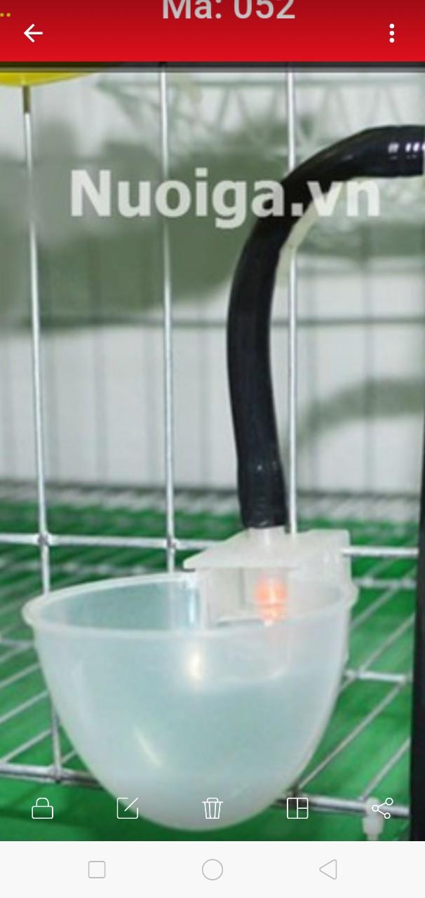 combo 15 máng uống tự động cho chim cút chim bồ câu gà nuôi lồng