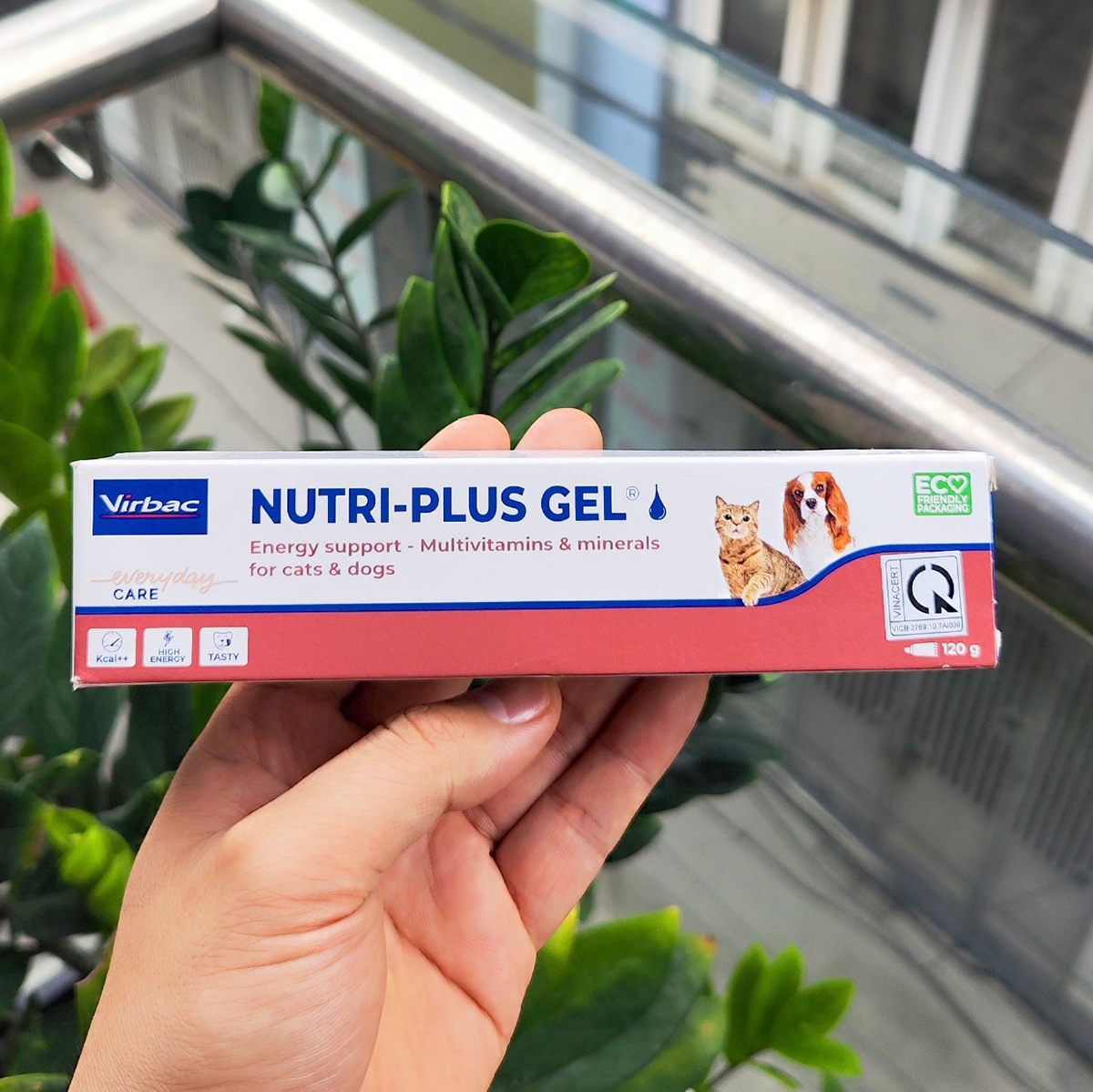 Gel ăn dinh dưỡng cho chó mèo 12.5g