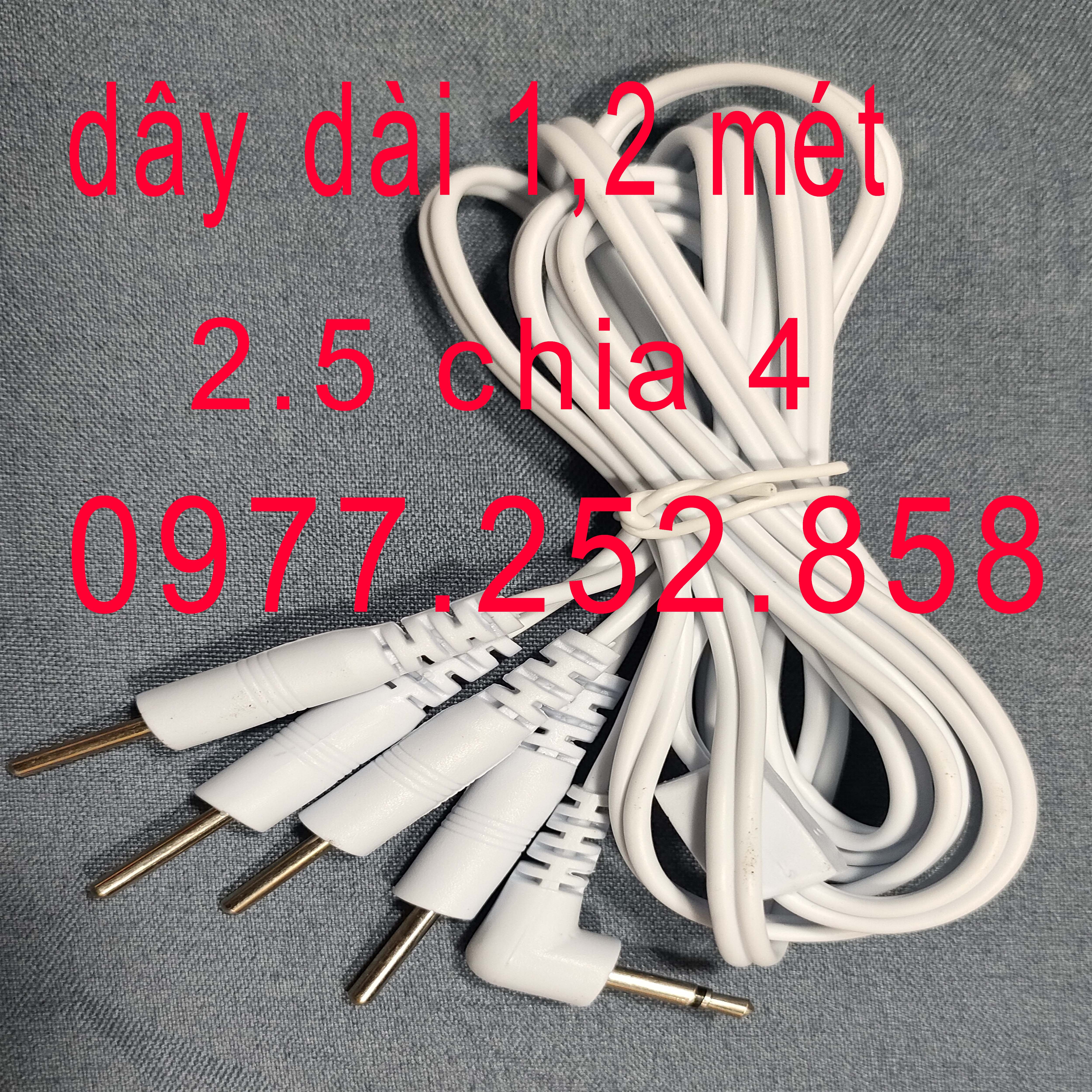 dây massage điện xung đầu ghim 2.5 chia 4