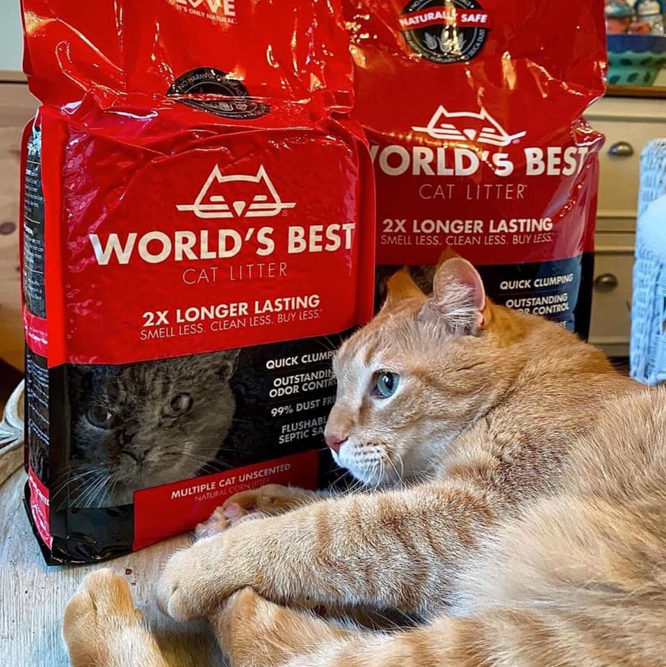WORLD'S BEST sand for cat cleaning