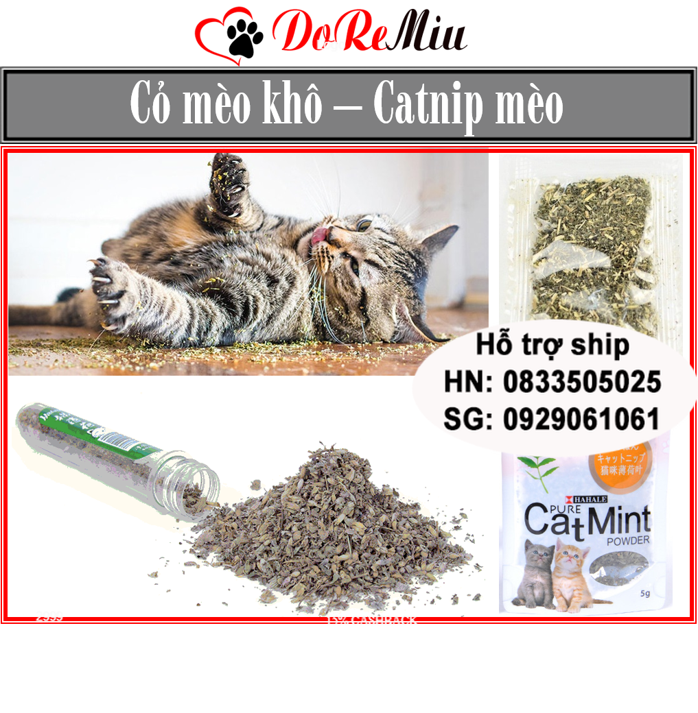 Doremiu- Cỏ mèo khô (3 loại) Cho mèo chơi cỏ catnip phê pha