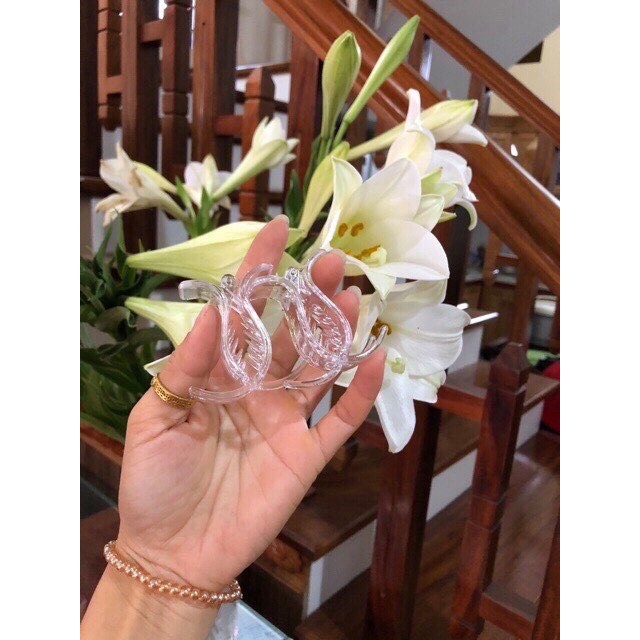 SỈ SET 12 KẸP TÓC CÀNG CUA TRONG SUỐT (COMBO 12 Chiếc)