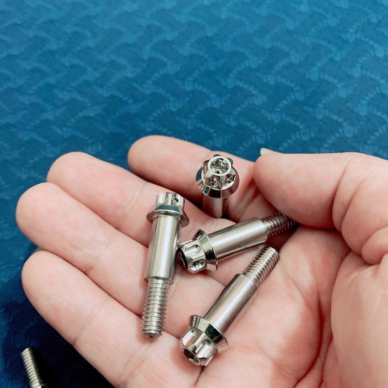 Ốc Salaya Tay Thắng Các Dòng Xe