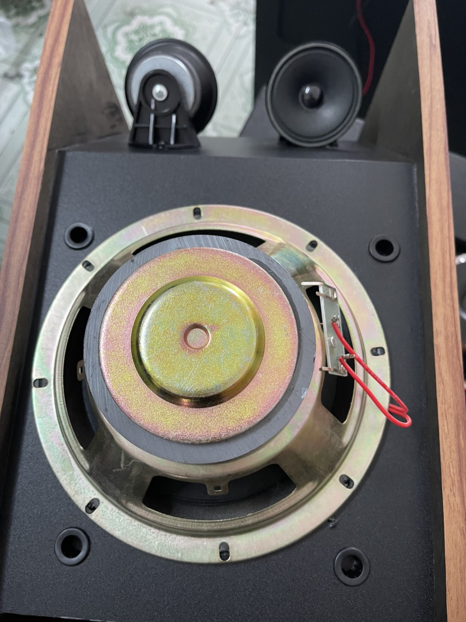 LOA BOSE 301