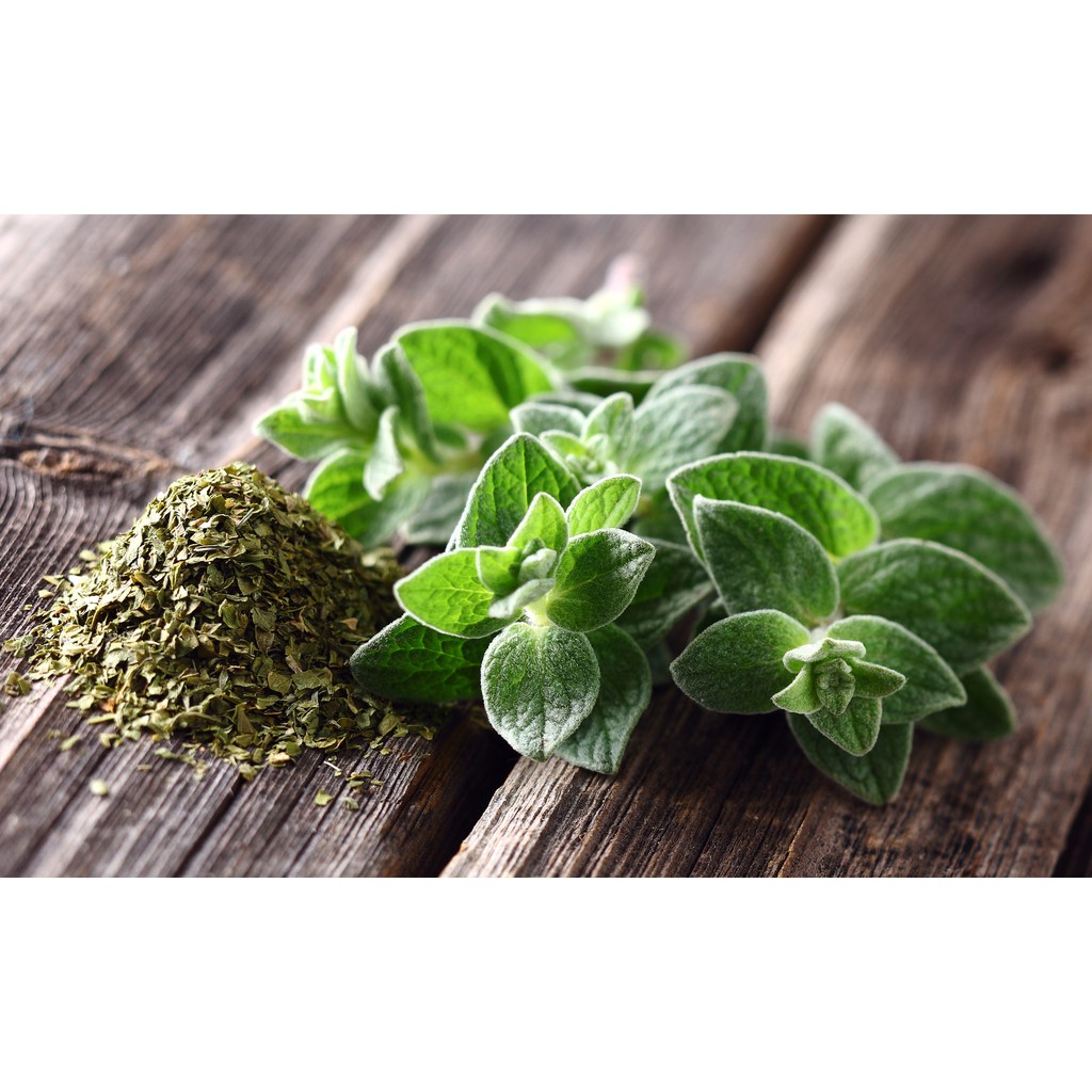 [HCM]Lá thơm Oregano khô 10g