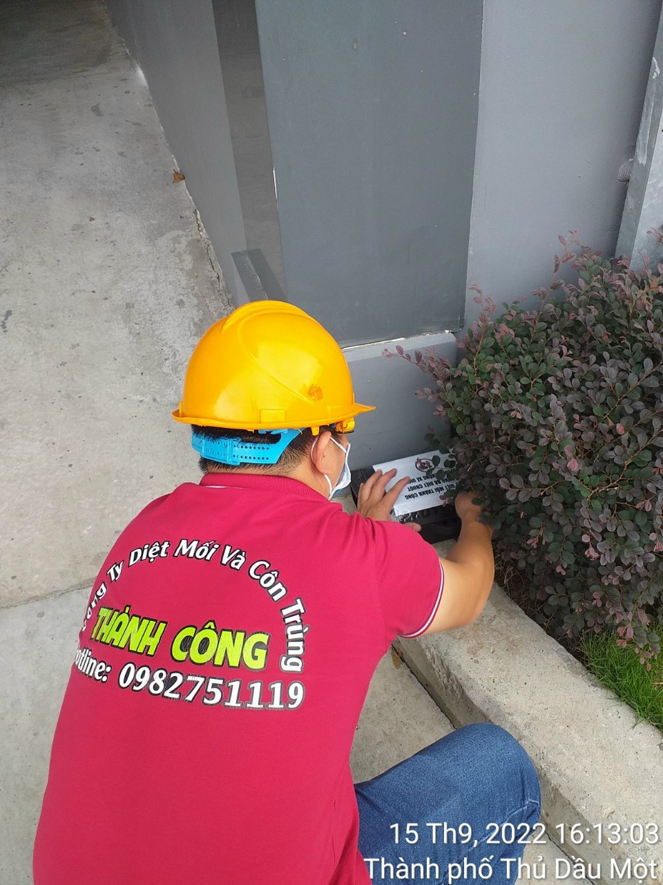 Thuốc diệt chuột Storm thế hệ mới Basf Đức