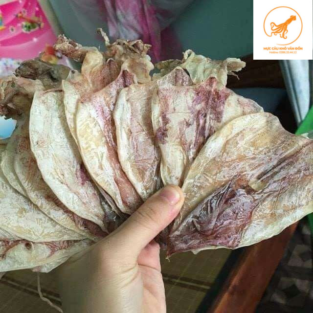 [ Cực Ngon ] 10 Con Mực Câu Khô To 4 Ngón Tay
