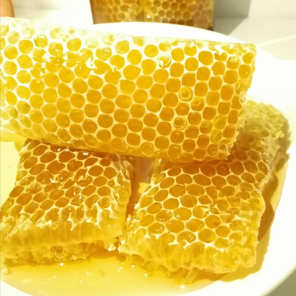 1000g Mật ong nguyên sáp tự nhiên