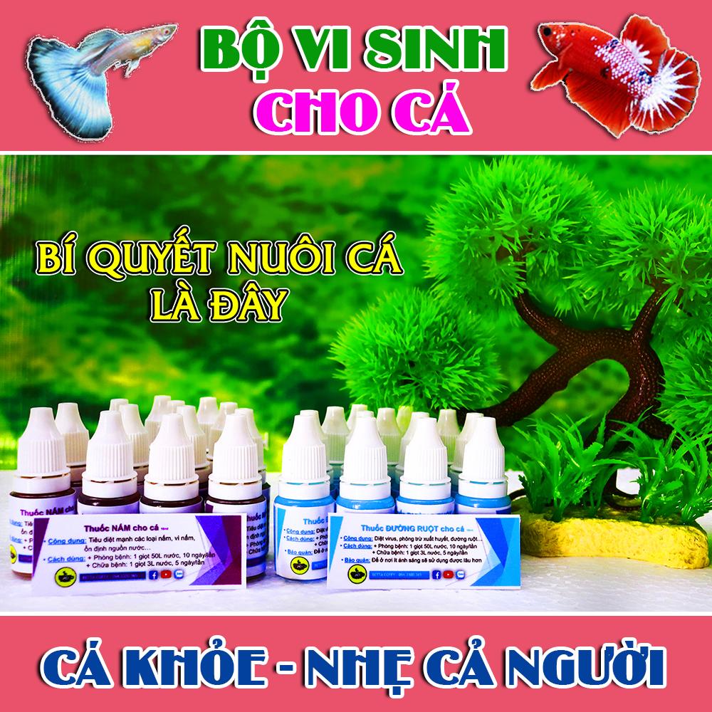 Yellow Care - Dưỡng Cá - Ship Cá - Phòng Bệnh