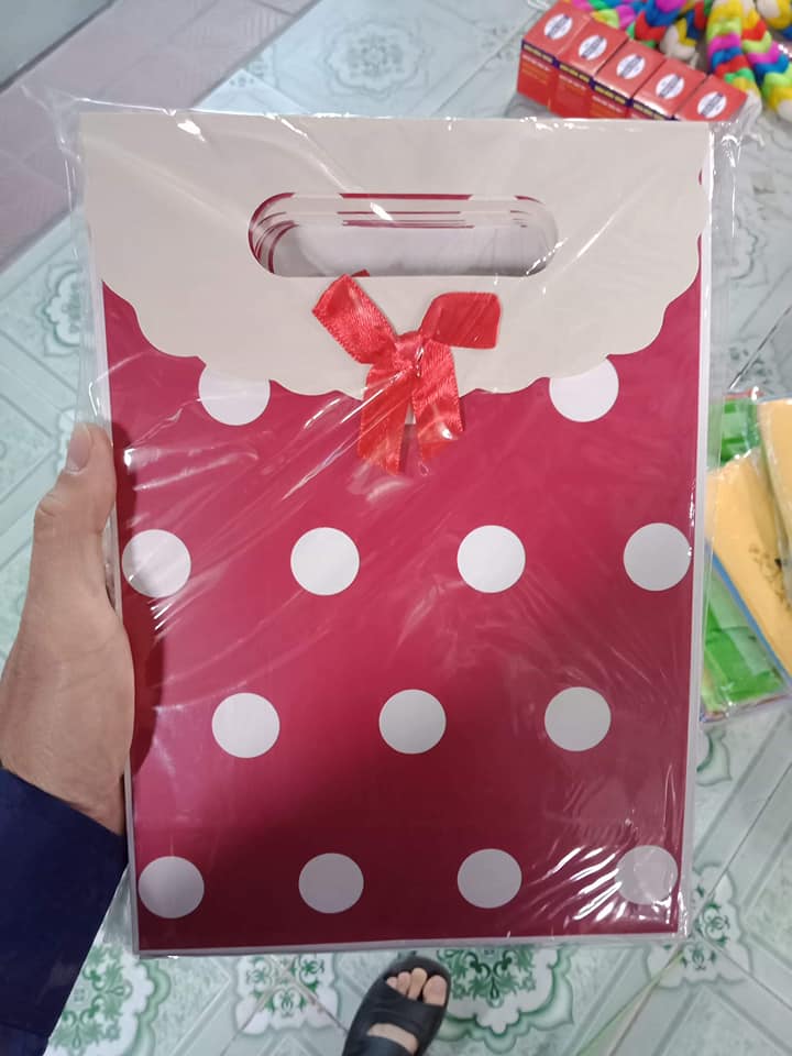 sét 12 túi đựng quà đẹp
