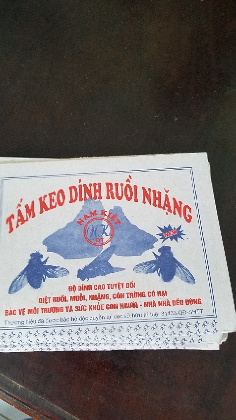 [50 MIẾNG] Combo 50 miếng keo dính ruồi siêu dính (miếng bẫy ruồi)