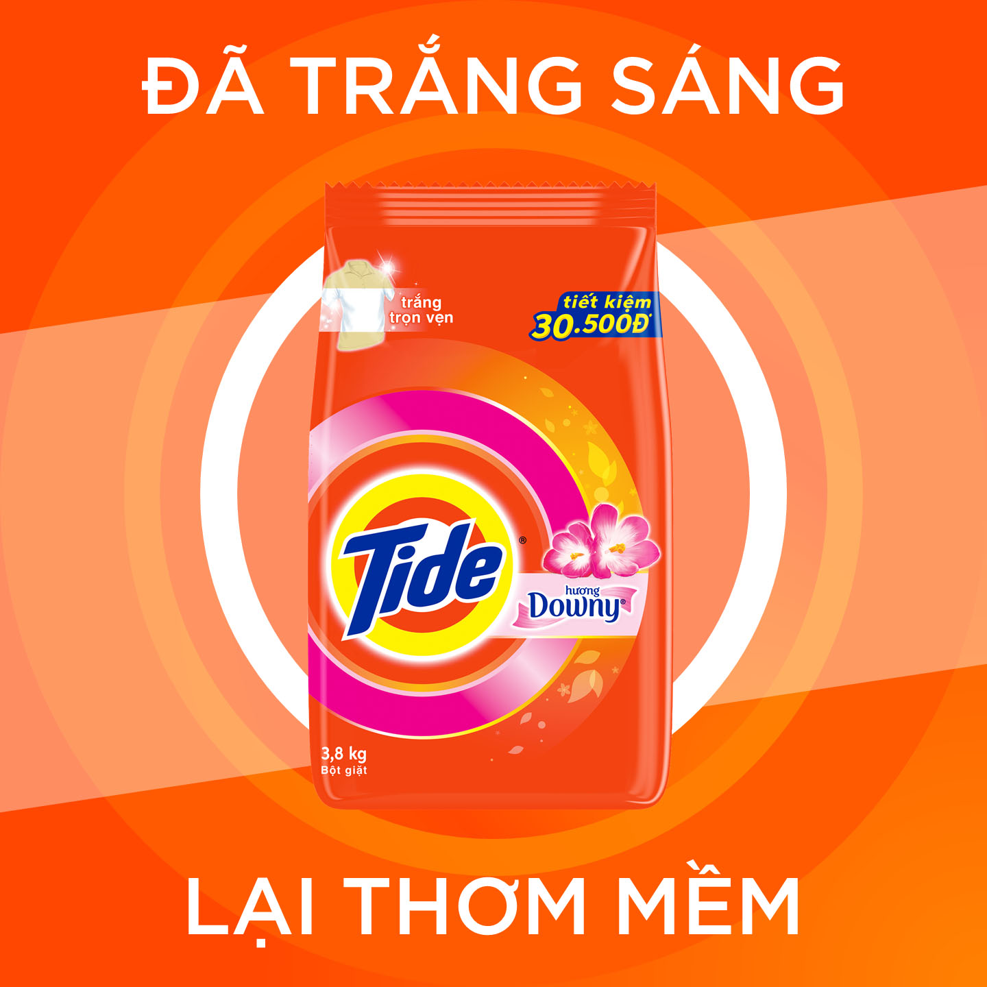 Combo 2 Bột Giặt Tide Hương Downy Túi 5KG