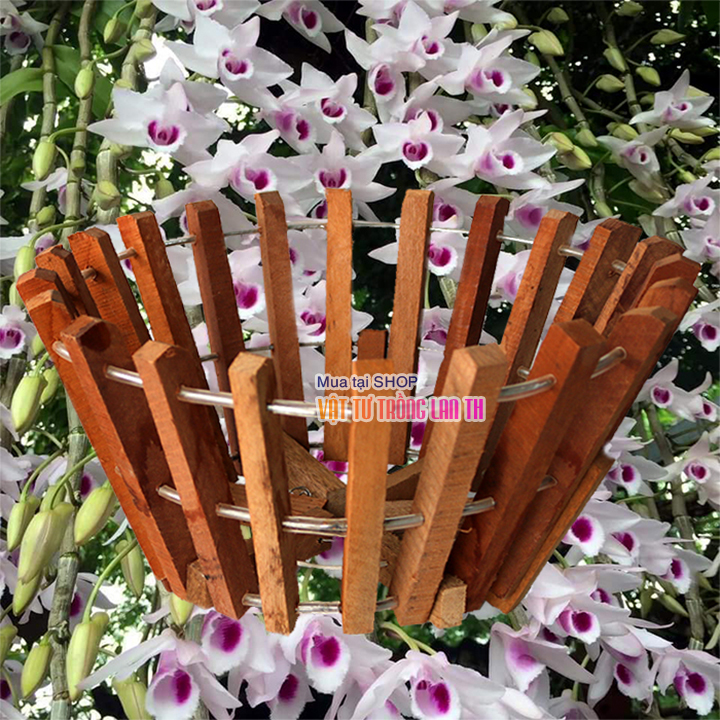 Chậu gỗ trống lan phi 30cm thanh gỗ bản vuông